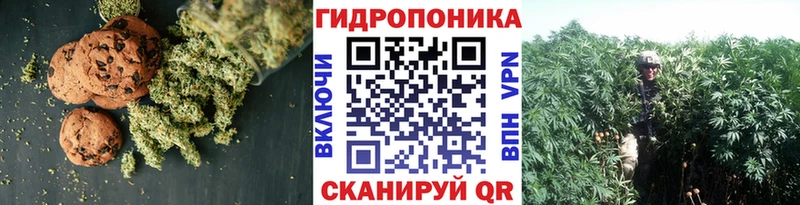 где найти Сысерть Canna-Cookies конопля