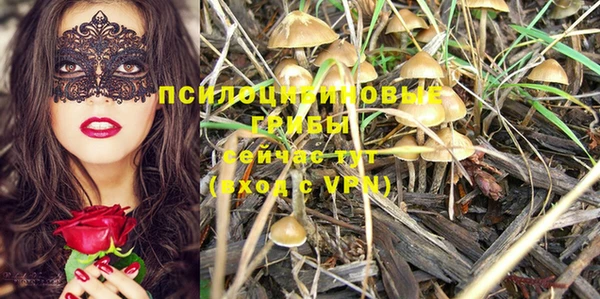 мяу мяу мука Арсеньев